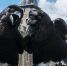 Вороны Тауэра. Фото CC BY-SA 2.0 / User:Colin / Jubilee and Munin, Ravens, Tower of London - InformPskov.Ru