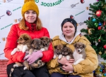 Радость в каждый дом!