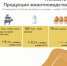 Производство яиц сократилось в Псковской области - Pln-Pskov.Ru