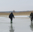 Фото Николая Бесклёвного. - InformPskov.Ru