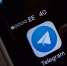 В Telegram разоблачают фейки вокруг суда над Алексеем Навальным - InformPskov.Ru