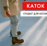 Псковичей приглашают на каток - BusinessPskov.Ru