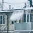 Псковский фотограф показала секреты городских коммунальщиков - BusinessPskov.Ru