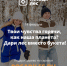 Псковских влюбленных приглашают выразить свои чувства в деревьях - BusinessPskov.Ru