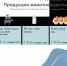 В Псковской области стали производить больше молока и яиц - InformPskov.Ru