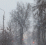 Туман накроет Псковскую область в ближайшие 2 часа - InformPskov.Ru