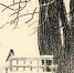 Животный мир «Михайловского» в рисунках представили на виртуальной мини-выставке - Pln-Pskov.Ru