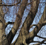Фото pixabay.com - InformPskov.Ru
