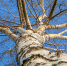 Фото с сайта pixabay.com. - InformPskov.Ru