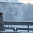Фото: ПАИ. - InformPskov.Ru