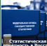 Статистическая отчётность в Росстат за 2020 год - Бизнес-инкубатор