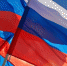 За использование флага России на незаконных акциях предложили штрафовать - Pln-Pskov.Ru