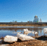 Слабая оттепель сменит морозы в Псковской области - InformPskov.Ru