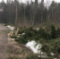 Псковавтодор начал ремонт объектов по нацпроекту - Pln-Pskov.Ru