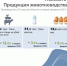 В Псковской области выросло производство скота и птицы на убой - Pln-Pskov.Ru