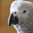 Фото: pixabay.com - InformPskov.Ru