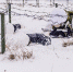 Псковские военнослужащие участвуют в конкурсе «Снайперский рубеж» - Pln-Pskov.Ru