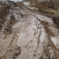 Фотофакт: Военная техника разбивает дорогу под Псковом - Pln-Pskov.Ru