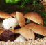 Фото: pixabay.com - InformPskov.Ru