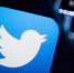 Роскомнадзор продлил замедление работы Twitter до 15 мая - InformPskov.Ru