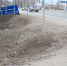Фотофакт: Дорожный знак сдуло ветром на трассе под Псковом - Pln-Pskov.Ru