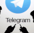 Число псковских политиков растёт в Telegram - InformPskov.Ru