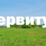 Процедура установления публичного сервитута - Псковский район