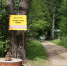 Деньги в валенке - Pln-Pskov.Ru