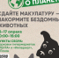 Сдать макулатуру и накормить бездомных животных призывают псковичей - Pln-Pskov.Ru