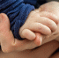 Фото: pixabay.com - InformPskov.Ru