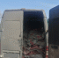 Перевозимую в антисанитарных условиях говядину не пропустили через границу Псковской области - InformPskov.Ru