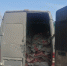 Псковские пограничники задержали контрабандистов с мясом - Pln-Pskov.Ru