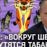 Табаки и другие политические животные - Pln-Pskov.Ru