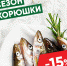 Корюшка со скидкой: где псковичам выгодно купить рыбу - BusinessPskov.Ru