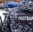 В Гдове росгвардейцы задержали подозреваемого в хищении - Росгвардия