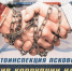 Псковским автовладельцам напомнили об ответственности за дачу взятки - Pln-Pskov.Ru