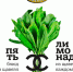 На фестиваль щавеля с нотками кулинарной моды приглашают псковичей - BusinessPskov.Ru