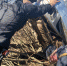 Сотрудники псковского ОМОН Росгвардии оказали помощь попавшему в ДТП водителю - Росгвардия