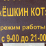 Анастасия Ивлеева рассказала про псковское кафе «Ёшкин кот» - BusinessPskov.Ru