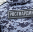 13 образовательных учреждений охраняет Росгвардия в Псковской области - InformPskov.Ru