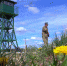 Фото: ПАИ - InformPskov.Ru