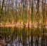 Фото: pixabay.com - InformPskov.Ru