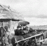 Крестьяне снабжают партизан хлебом, Псковская область, 01.09.1942. / Сергей Лоскутов. / РИА Новости - InformPskov.Ru
