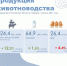 Производство яиц в Псковской области сократилось на 6,4% - Pln-Pskov.Ru