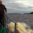 Два новых вместительных катера будут ходить до Талабских островов - InformPskov.Ru