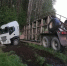 Под Псковом грузовик оказался в кювете из-за лося. ФОТО - Pln-Pskov.Ru
