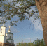 Фото: «Вести-Псков» - InformPskov.Ru
