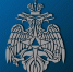 Выполняли свой профессиональный долг - МЧС Псковской области