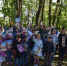 В День защиты детей для юных псковичей устроили концерт и катание на лошадях - Pln-Pskov.Ru