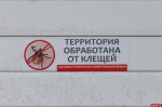 Клещ отсюда!